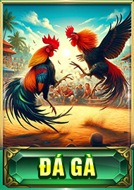 đá gà icon